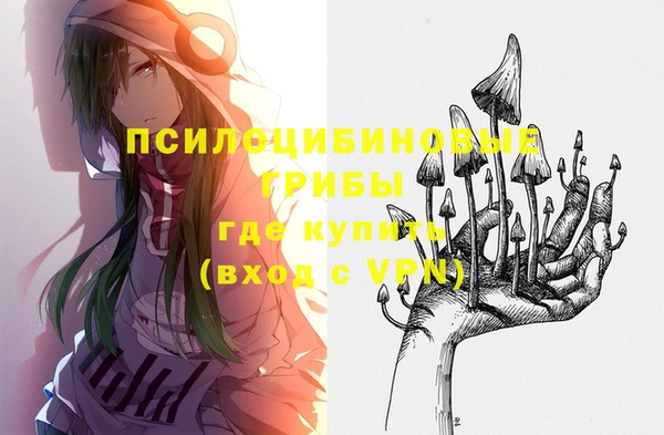 PSILOCYBIN Вязники